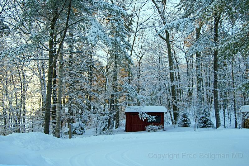 20071228_093331 D2X F.jpg - Winter landscape, Happy Tails, Bridgton, Maine